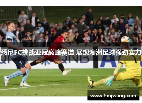 悉尼FC挑战亚冠巅峰赛道 展现澳洲足球强劲实力